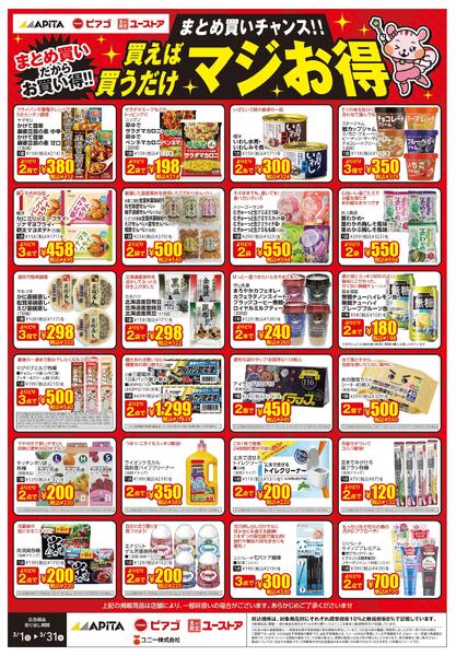 3/1(日)～3/31(火)-1