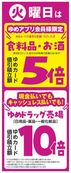 3/17（火）限りnew-1