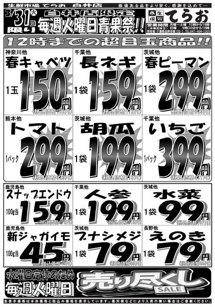 最新チラシnew-1