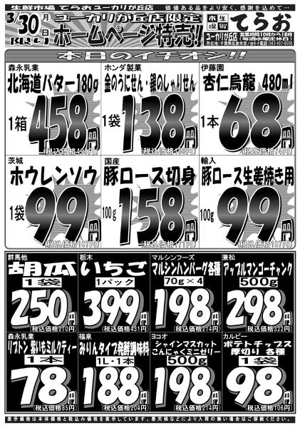 最新チラシnew-1