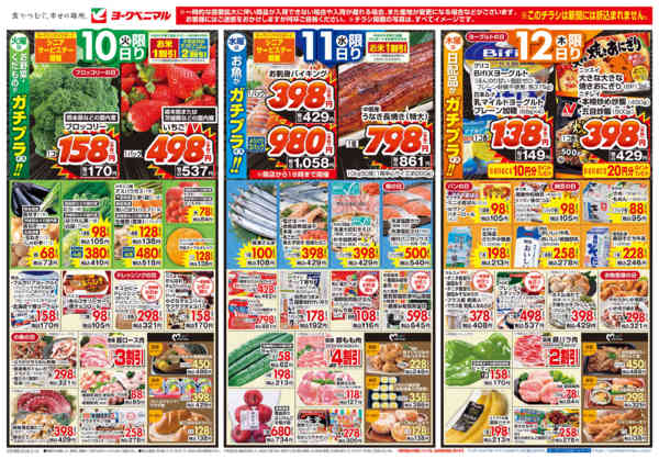 2026年3月10〜12日まで3/10号チラシnew-1