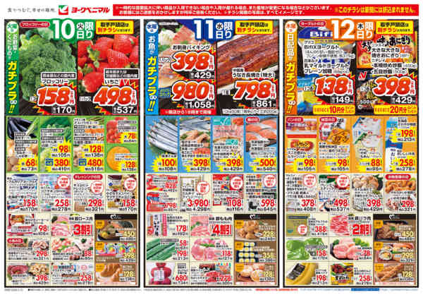 2026年3月10〜12日まで3/10号チラシ-1