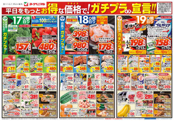 2026年3月17〜19日まで3/17号チラシ-1