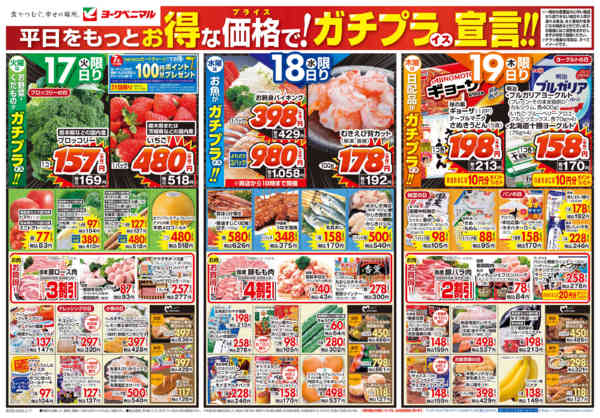 2026年3月17〜19日まで3/17号チラシnew-1