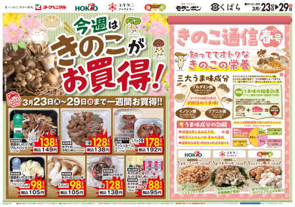 2026年3月23〜29日まで今週はきのこがお買得new-1