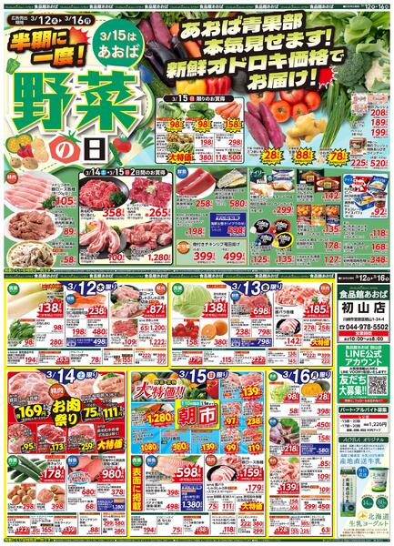 レギュラーチラシ-1