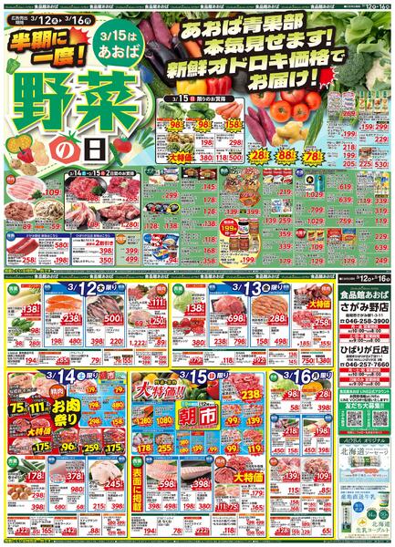 レギュラーチラシ-1