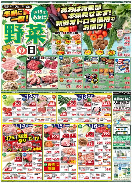 レギュラーチラシ-1