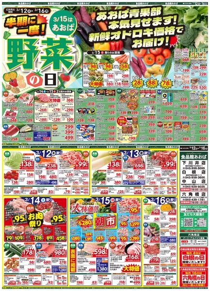 レギュラーチラシ-1