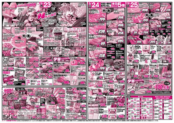 最新チラシnew-2