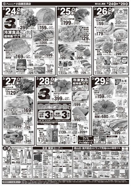【全店舗共通チラシ】3/24（火）～ 3/29（日)春の行楽-2