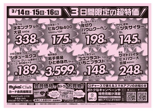 折り込みチラシnew-2