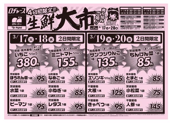 折り込みチラシnew-1