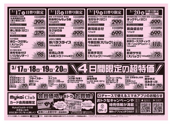 折り込みチラシnew-2