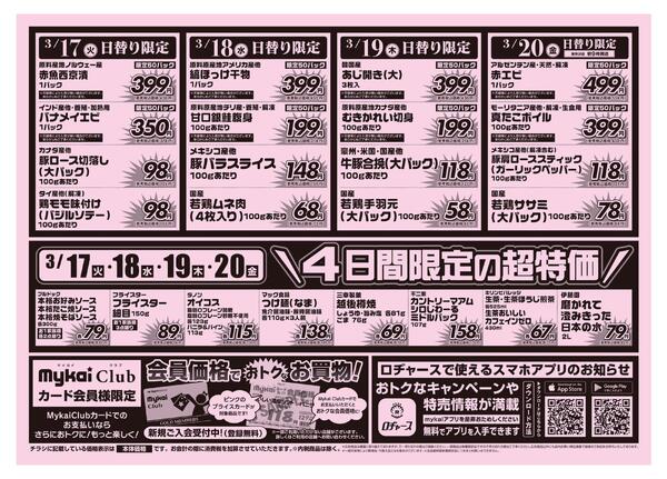 折り込みチラシ-2