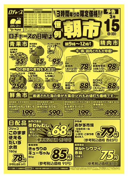 折り込みチラシnew-1