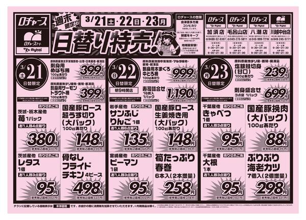 折り込みチラシnew-1