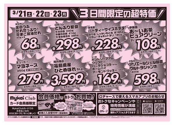 折り込みチラシnew-2