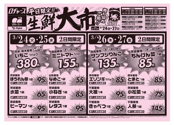 折り込みチラシ-1