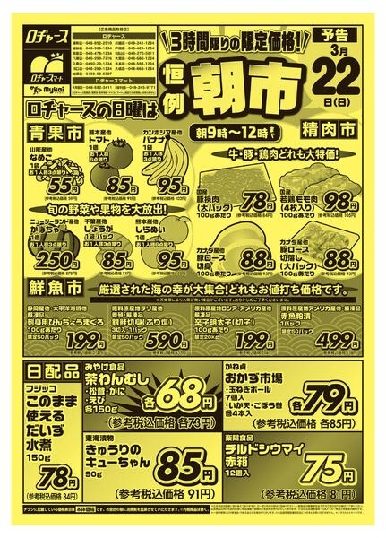 折り込みチラシnew-1