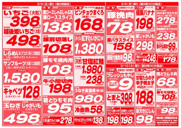 最新チラシnew-11