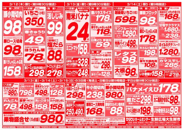 最新チラシnew-3