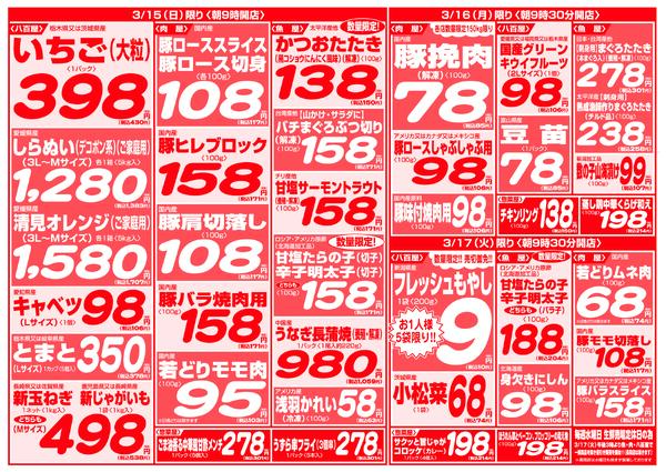 最新チラシnew-4