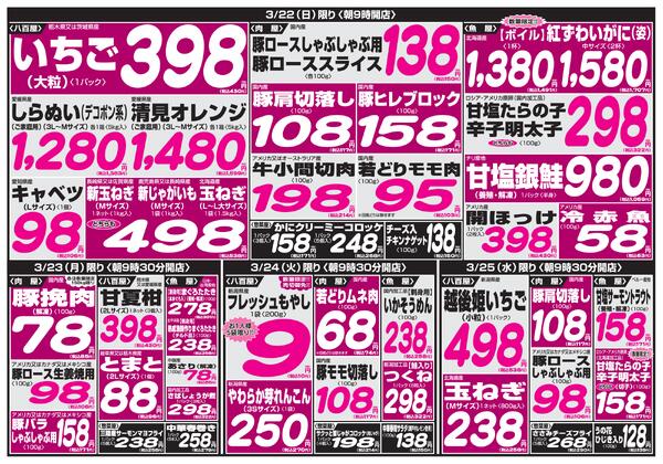 最新チラシnew-4