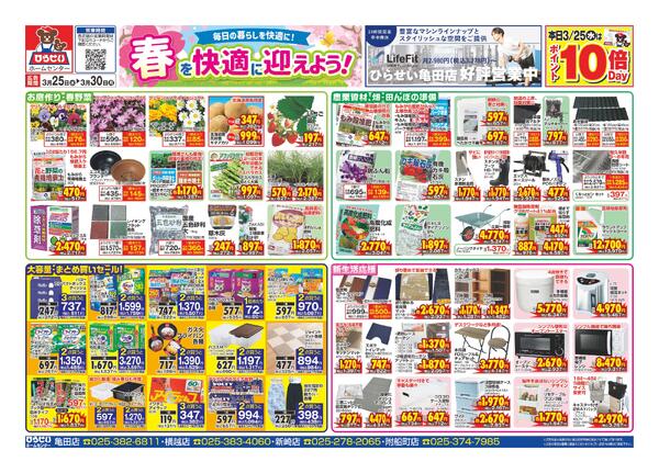 最新チラシnew-5