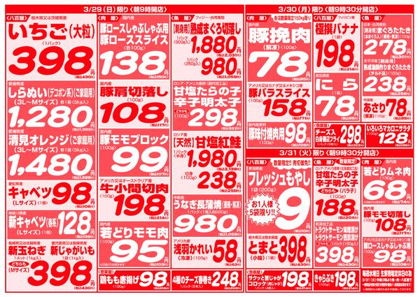 最新チラシnew-11