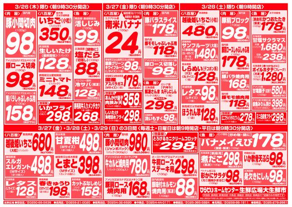 最新チラシnew-10