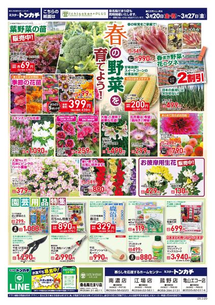 ミスタートンカチ3月20日(金)～3月27日(金)特売情報new-1