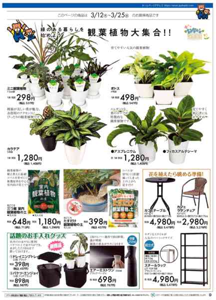 2026年3月11〜25日までアヤハディオ大決算セール！new-9