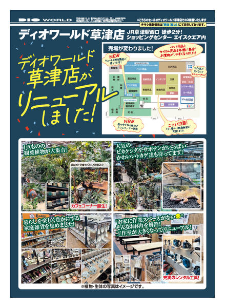 2026年3月12〜25日までディオワールド草津店がリニューアル！-1