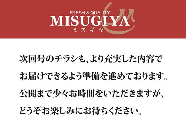 レギュラーチラシ-3