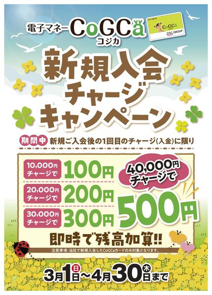 2026年3月2日〜4月30日までコジカカード入会キャンペーン-1