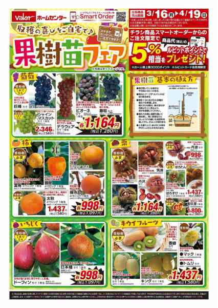 2026年3月16日〜4月19日まで果樹苗フェアnew-1