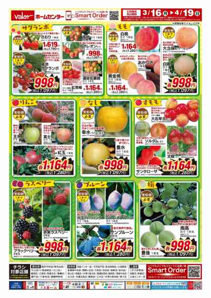 2026年3月16日〜4月19日まで果樹苗フェアnew-2