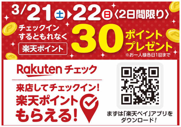 2026年3月20〜22日まで0321-0322　楽天チェック30Pnew-1