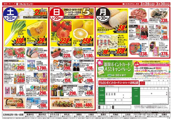 お花見ごはん-2