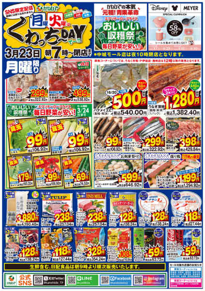 2026年3月23日限りSNS限定　月曜くわっちーDAYnew-1