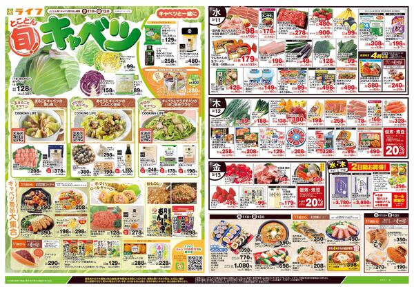 3/11号　とことん旬！キャベツ-1