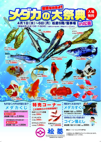 2026年4月1日 チラシnew-1