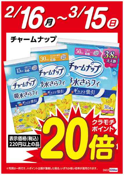 2026年2月16日〜3月15日までチャームナップ　ポイント20倍-1