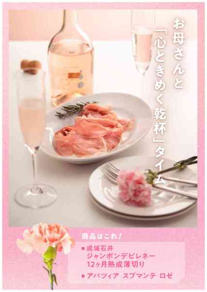 2026年4月15日〜5月10日まで母の日におすすめの商品をご紹介new-3
