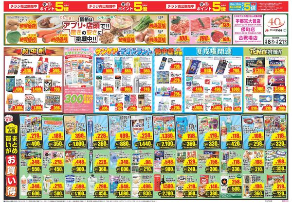 最新チラシnew-1