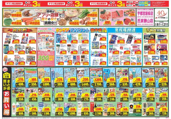 最新チラシnew-1