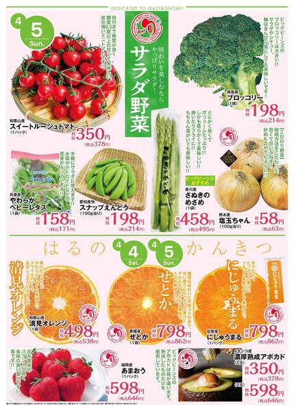 4月4日〜4月5日までのチラシ情報-2