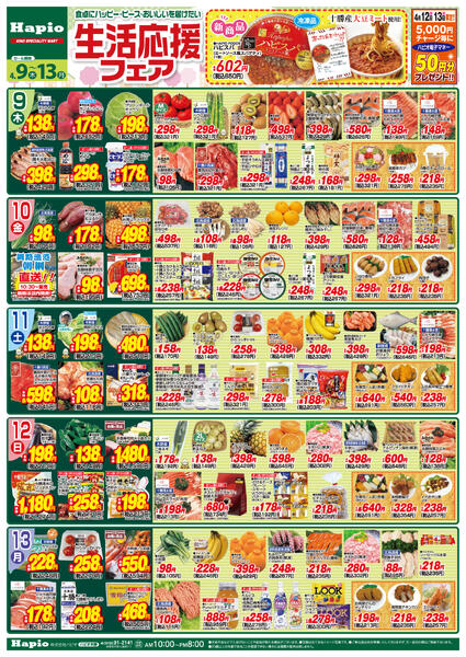 最新チラシnew-1