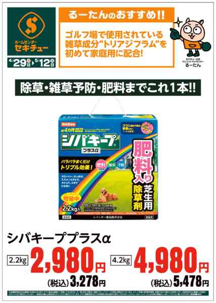 2026年4月29日〜5月12日までるーたんのおすすめ！！new-2